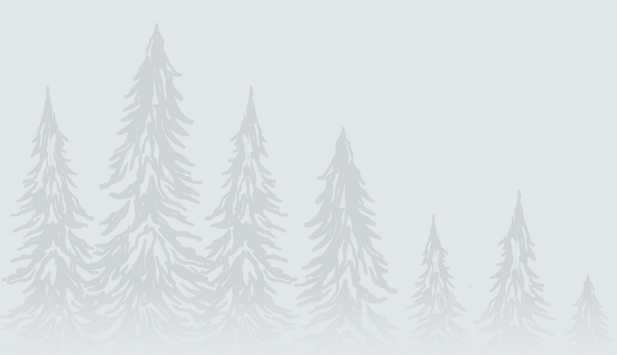 Underbrush forest